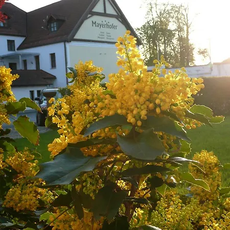 Hotel Mayerhofer Aldersbach