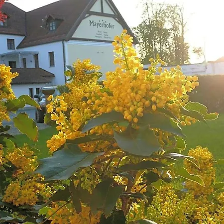 Hotel-restaurant Mayerhofer Hotel 3*