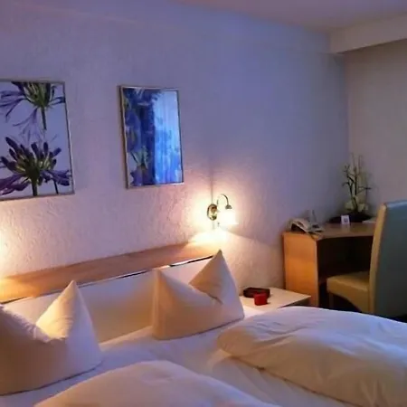 Hotel-restaurant Mayerhofer Ξενοδοχείο 3*