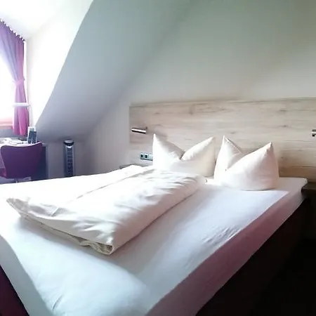 Hotel Hotel-restaurant Mayerhofer 3*