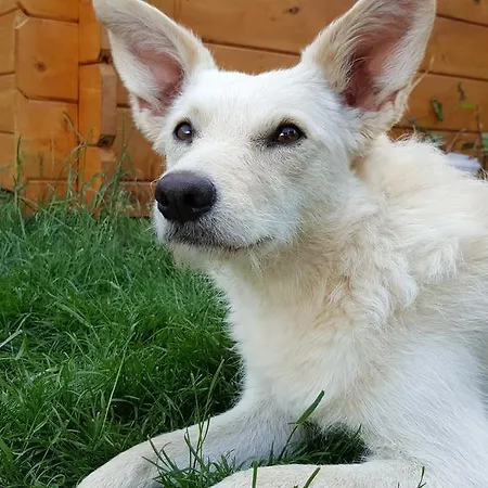 Hotel-restaurant Mayerhofer