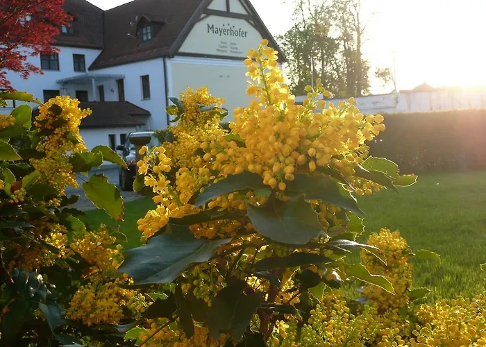 Hotel Hotel-restaurant Mayerhofer Aldersbach